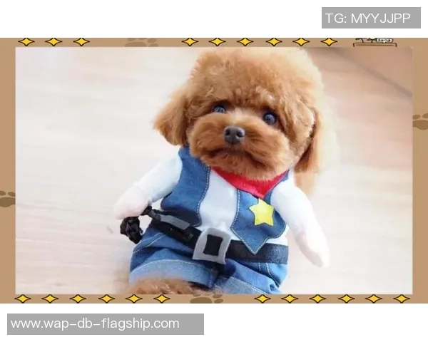 选择最佳前锋足球鞋助你在场上大放异彩的全面指南